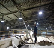 conveyor belt 